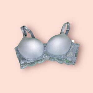 Sostén de Encaje Plateado con Soporte y Diseño Largo